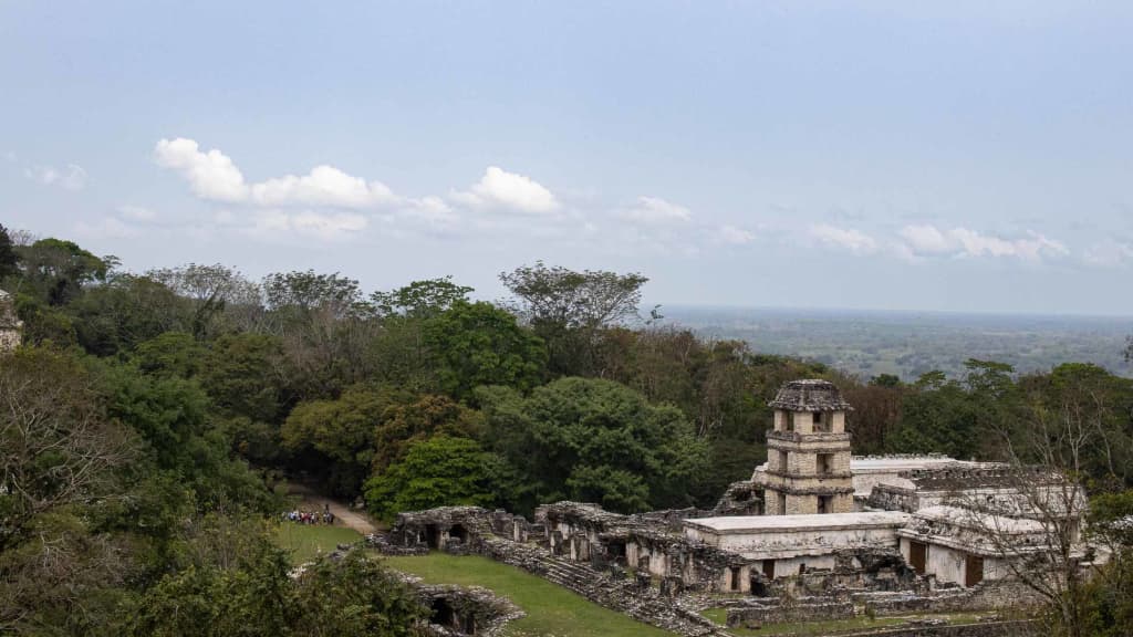 Explorando Chiapas: Fotografía de la Selva, Palenque y Bonampak